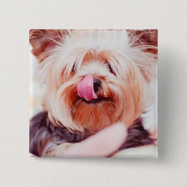 Badge Carré 5 Cm Bouton Chien mignon 8 (Devant)
