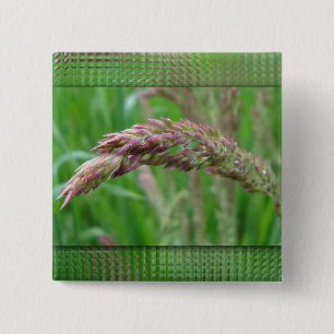 Badge Carré 5 Cm Bouton Comment l'herbe pousse