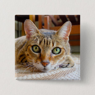 Badge Carré 5 Cm Bouton Cute Chat