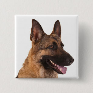 Badge Carré 5 Cm Bouton d'amour du chien coquelicot allemand