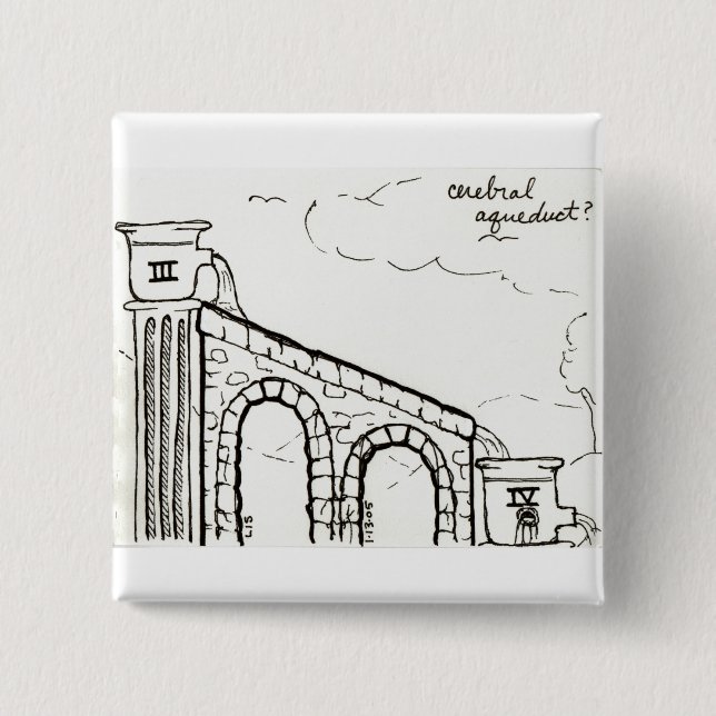 Badge Carré 5 Cm Bouton d'aqueduc cérébral (Devant)