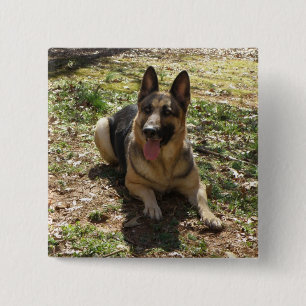 Badge Carré 5 Cm Bouton de berger allemand