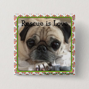 Badge Carré 5 Cm Bouton de Bumblesnot : Le carlin/délivrance d'Itsy