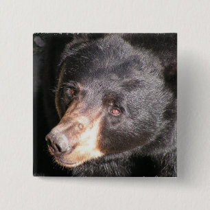 Badge Carré 5 Cm Bouton de carré d'ours noir