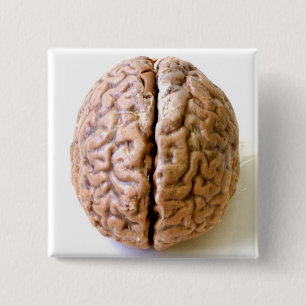 Badge Carré 5 Cm bouton de cerveau