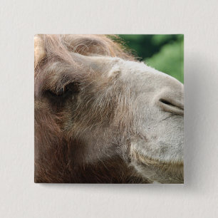 Badge Carré 5 Cm Bouton de chameau Arabe