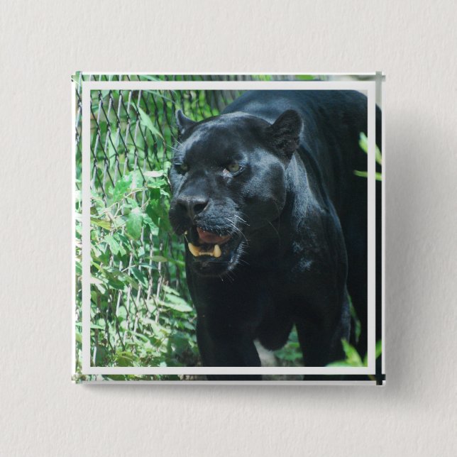 Badge Carré 5 Cm Bouton de chat de panthère   noire (Devant)