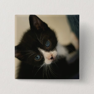 Badge Carré 5 Cm Bouton de chaton de BW