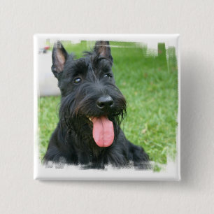 Badge Carré 5 Cm Bouton de chien de Terrier d'écossais