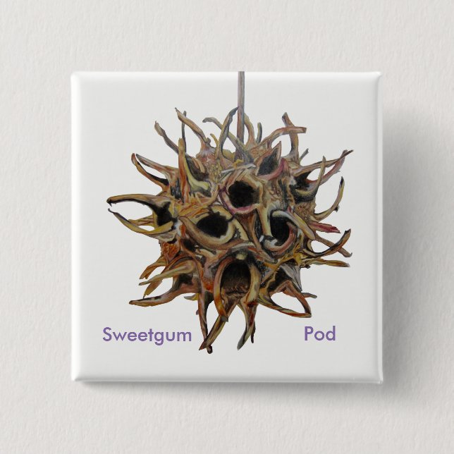 Badge Carré 5 Cm Bouton de cosse de Sweetgum (Devant)