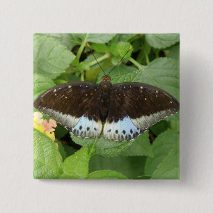 Badge Carré 5 Cm Bouton de papillon Tropical