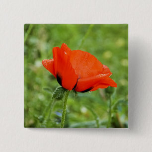 Badge Carré 5 Cm Bouton de Pavot
