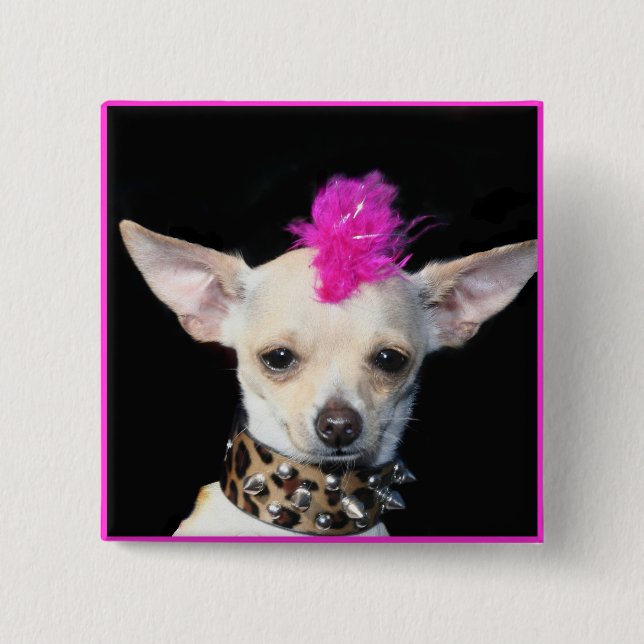 Badge Carré 5 Cm Bouton de punk de chiwawa (Devant)