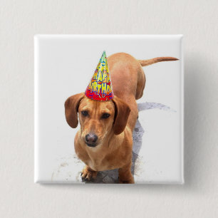 Badge Carré 5 Cm Bouton de teckel de joyeux anniversaire