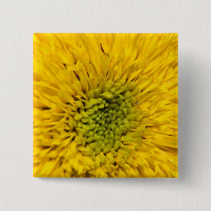 Badge Carré 5 Cm Bouton de tournesol d'ours de nounours