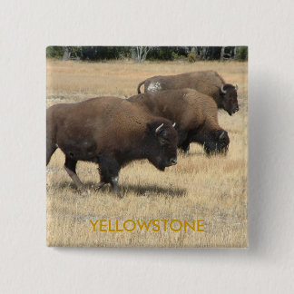 Badge Carré 5 Cm Bouton de Yellowstone de Buffalo