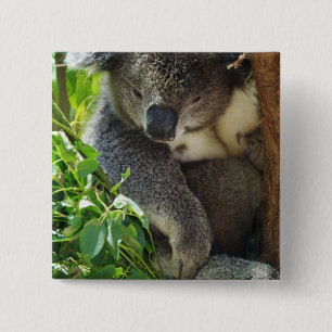 Badge Carré 5 Cm Bouton décontracté de koala