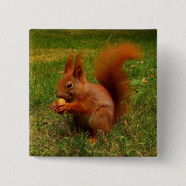 Badge Carré 5 Cm Bouton d'écureuil mignon (Devant)