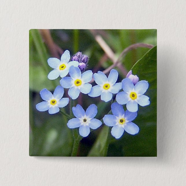 Badge Carré 5 Cm Bouton des myosotis des marais 2 (Devant)