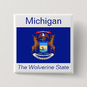 Badge Carré 5 Cm Bouton Drapeau Michigan