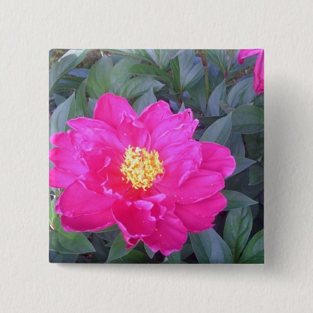 Badge Carré 5 Cm Bouton du rose 3 (Devant)