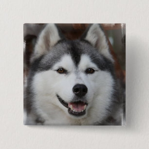 Badge Carré 5 Cm Bouton enroué de carré de chien