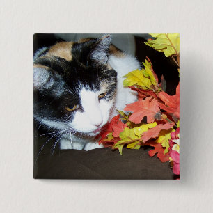 Badge Carré 5 Cm Bouton Feuilles Automne Calico Cat Automne