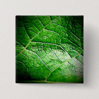 Badge Carré 5 Cm Bouton feuillu du vert 1
