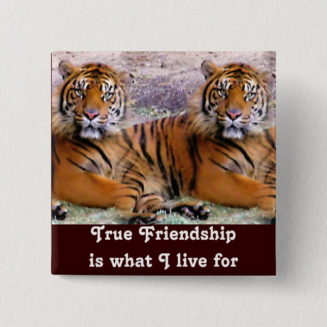 Badge Carré 5 Cm Bouton Friendship_ (Devant)