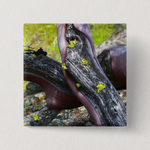 Badge Carré 5 Cm Bouton Manzanita