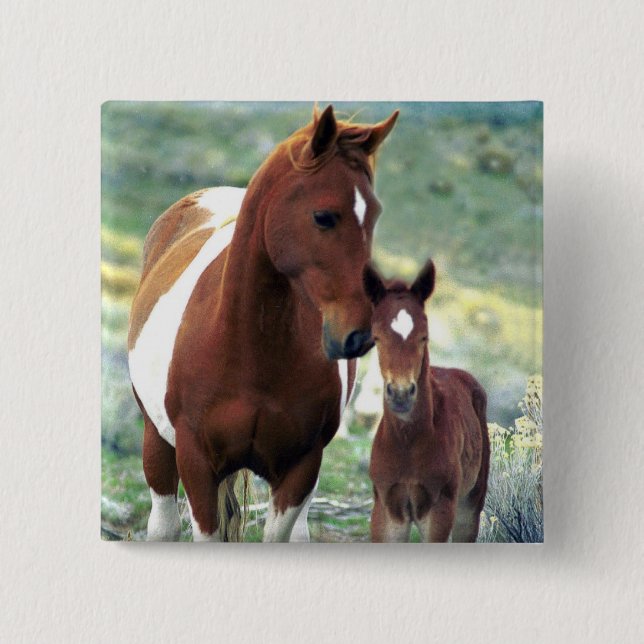 Badge Carré 5 Cm Bouton Mare sauvage et Foal (Devant)