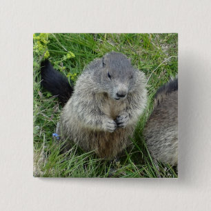 Badge Carré 5 Cm Bouton Marmot