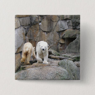 Badge Carré 5 Cm Bouton OURS POLAIRE