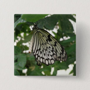 Badge Carré 5 Cm Bouton Papier Tropical Kite Butterfly