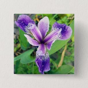 Badge Carré 5 Cm Bouton pourpre d'iris