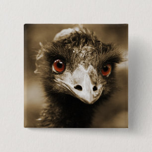 Badge Carré 5 Cm Bouton Recherche Ostriches