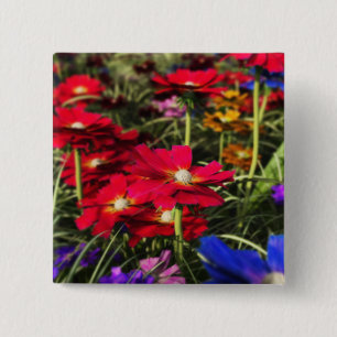 Badge Carré 5 Cm Bouton Ressort Iridescente