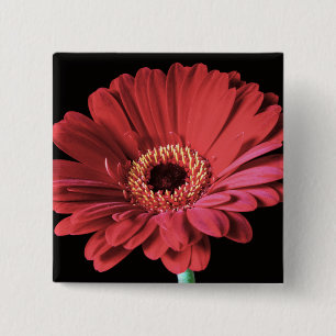Badge Carré 5 Cm Bouton rouge de carré de Gerbera