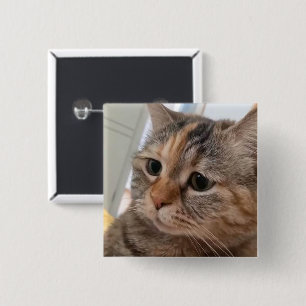 Badge Carré 5 Cm Bouton Talking Cats Meme Pin