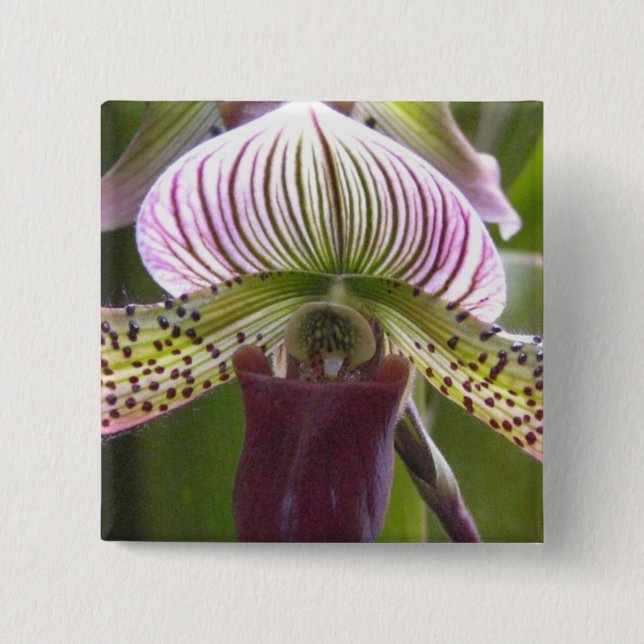 Badge Carré 5 Cm Bouton unique d'orchidée (Devant)