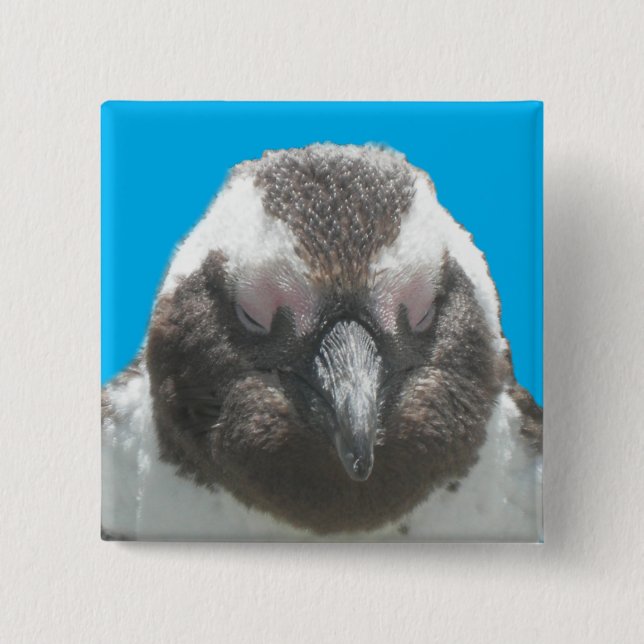 Badge Carré 5 Cm Bouton visage de pingouin sud-africain (Devant)