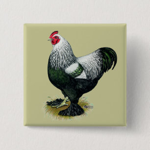 Badge Carré 5 Cm Brahma : Coq foncé