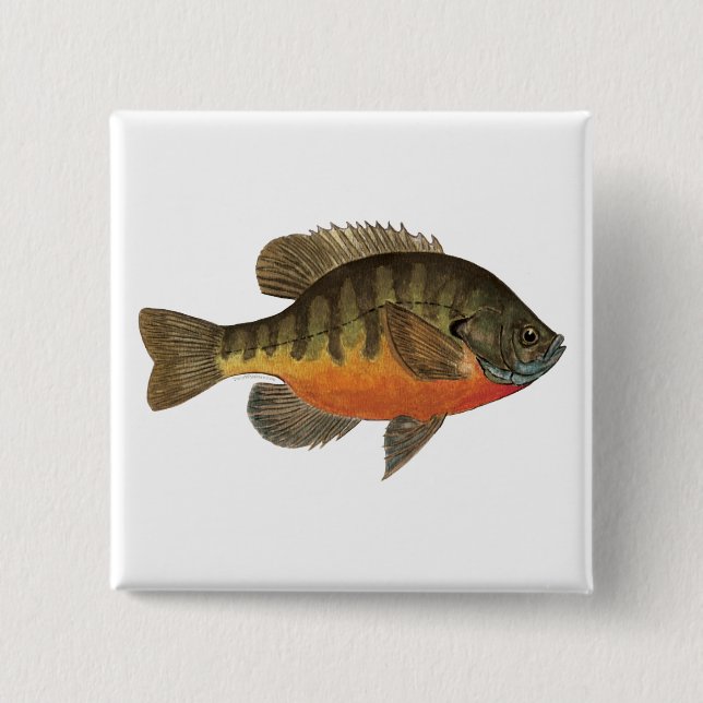 Badge Carré 5 Cm Brise de Bluegill (Devant)
