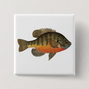 Badge Carré 5 Cm Brise de Bluegill