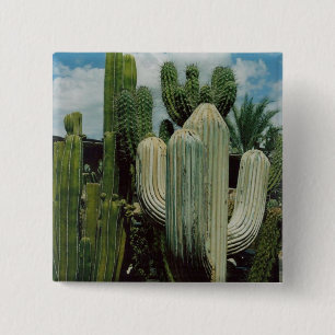 Badge Carré 5 Cm Cactus de l'Arizona