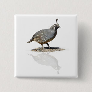 BADGE CARRÉ 5 CM CAILLES REFLÉTÉES