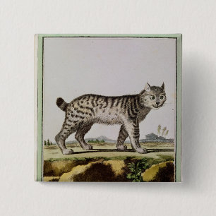 Badge Carré 5 Cm Canadien Lynx