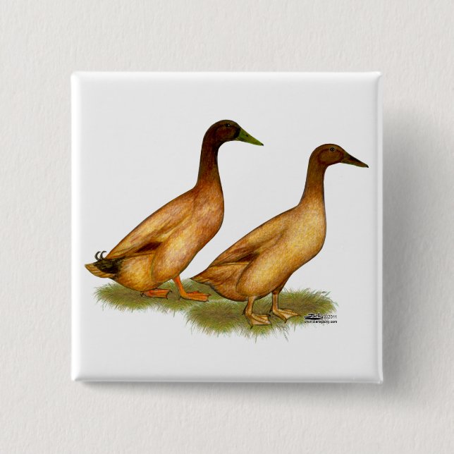Badge Carré 5 Cm Canards : Khaki Campbell (Devant)