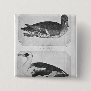 Badge Carré 5 Cm Canards, le de l'album de Vallardi