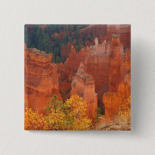 Badge Carré 5 Cm Canyon Utah de Bryce